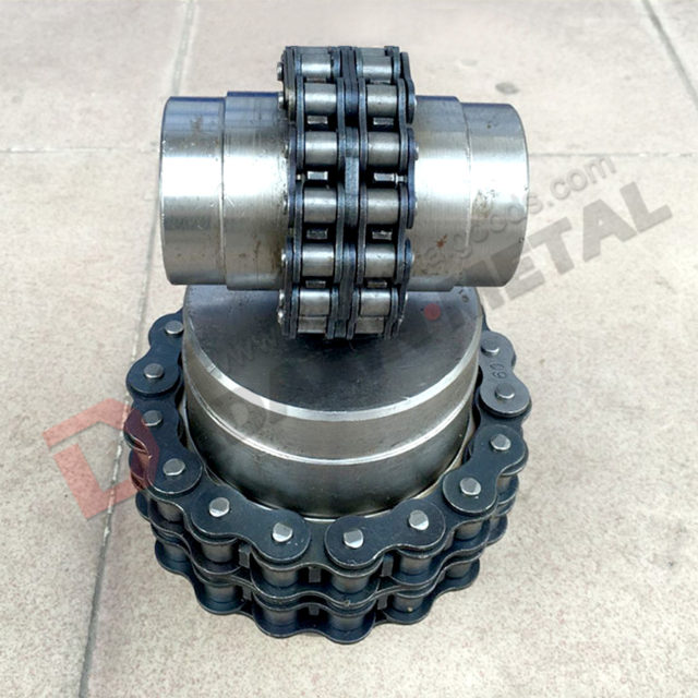 roller chain flexible coupler-2